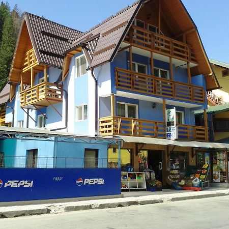 Pensiunea Aurora - Great Hostel Voineasa Dış mekan fotoğraf