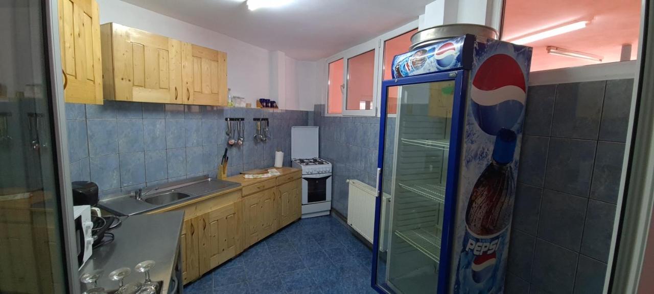 Pensiunea Aurora - Great Hostel Voineasa Dış mekan fotoğraf