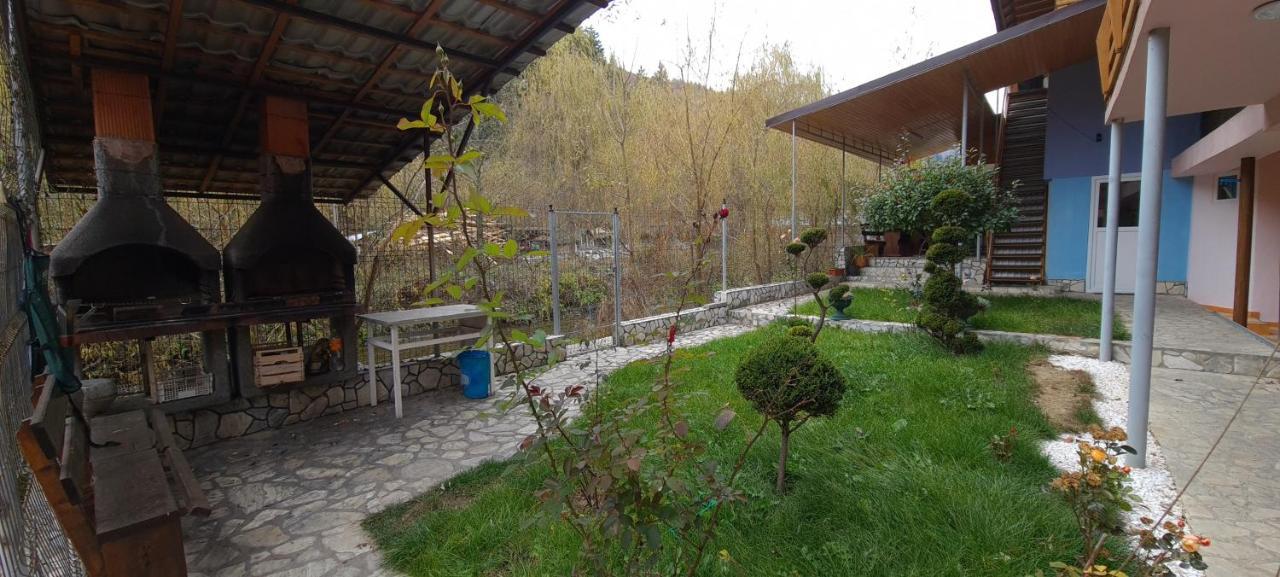 Pensiunea Aurora - Great Hostel Voineasa Dış mekan fotoğraf