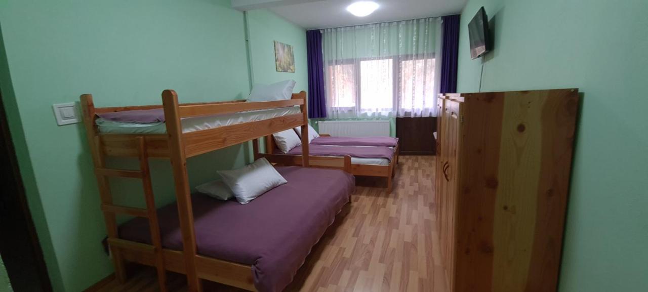 Pensiunea Aurora - Great Hostel Voineasa Dış mekan fotoğraf