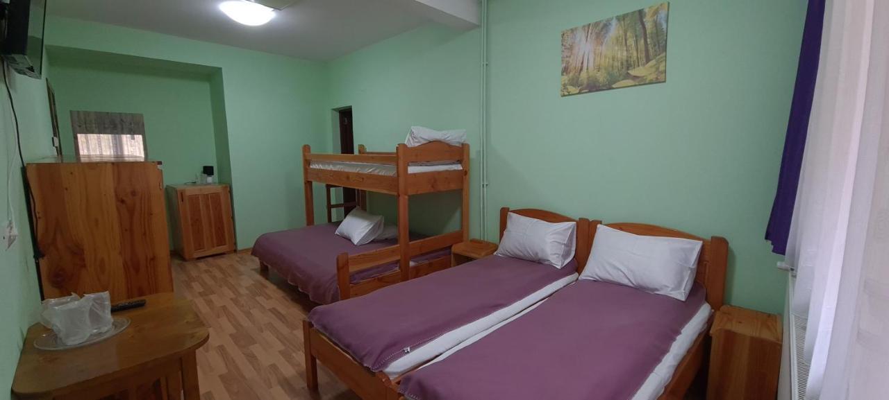 Pensiunea Aurora - Great Hostel Voineasa Dış mekan fotoğraf