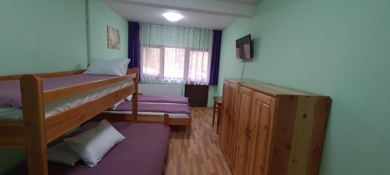Pensiunea Aurora - Great Hostel Voineasa Dış mekan fotoğraf
