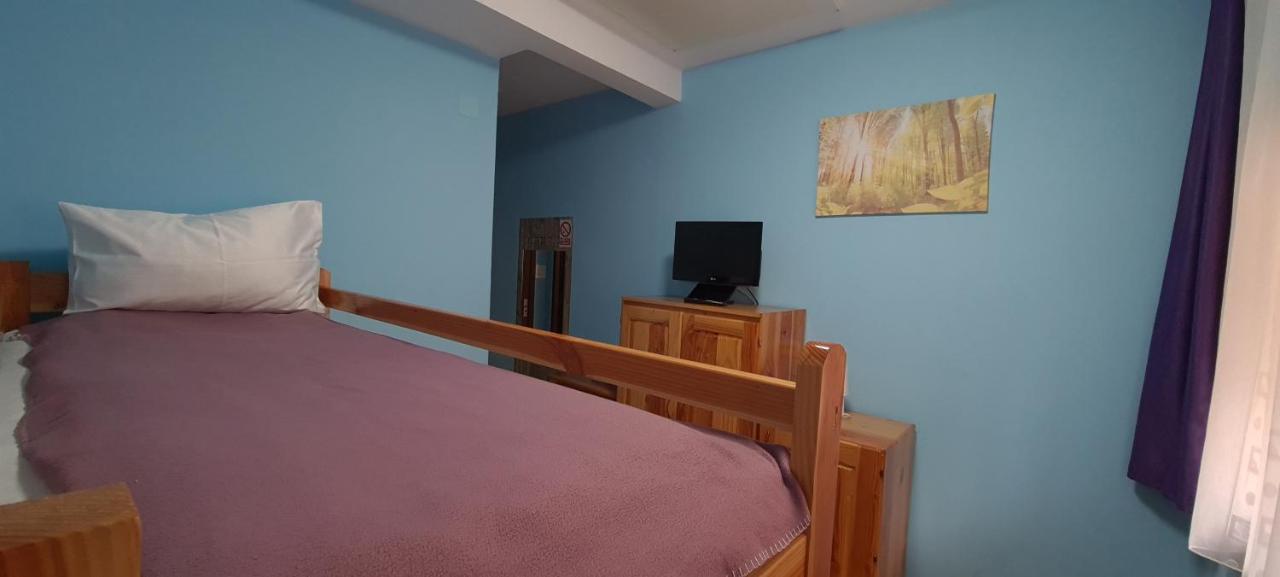 Pensiunea Aurora - Great Hostel Voineasa Dış mekan fotoğraf