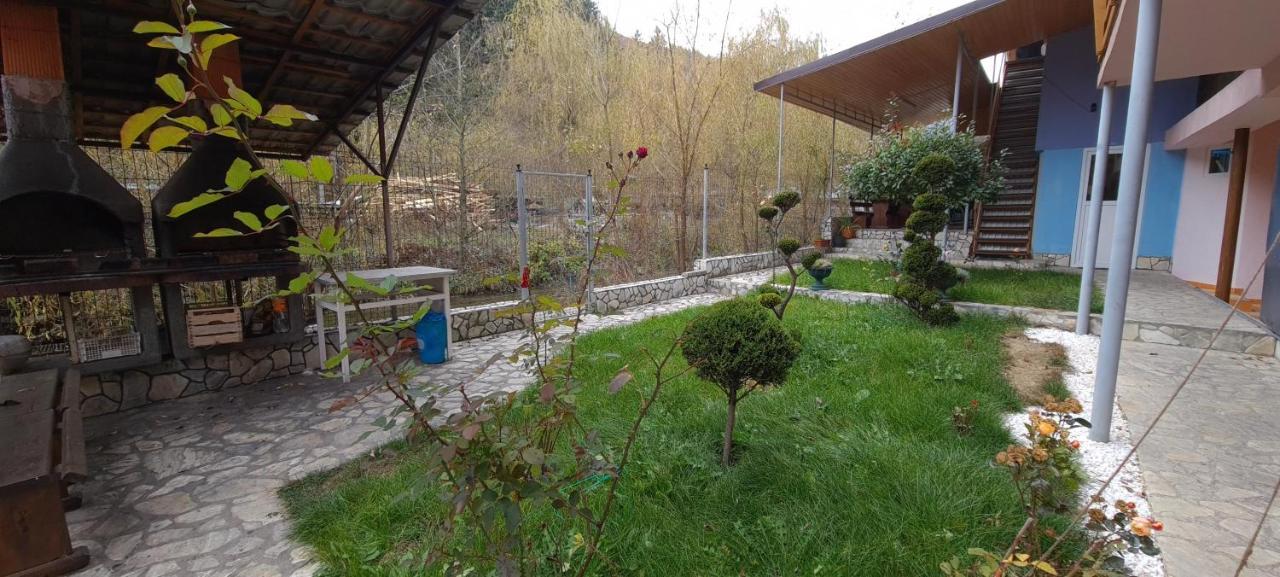 Pensiunea Aurora - Great Hostel Voineasa Dış mekan fotoğraf