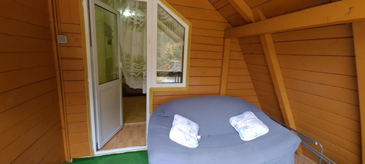 Pensiunea Aurora - Great Hostel Voineasa Dış mekan fotoğraf