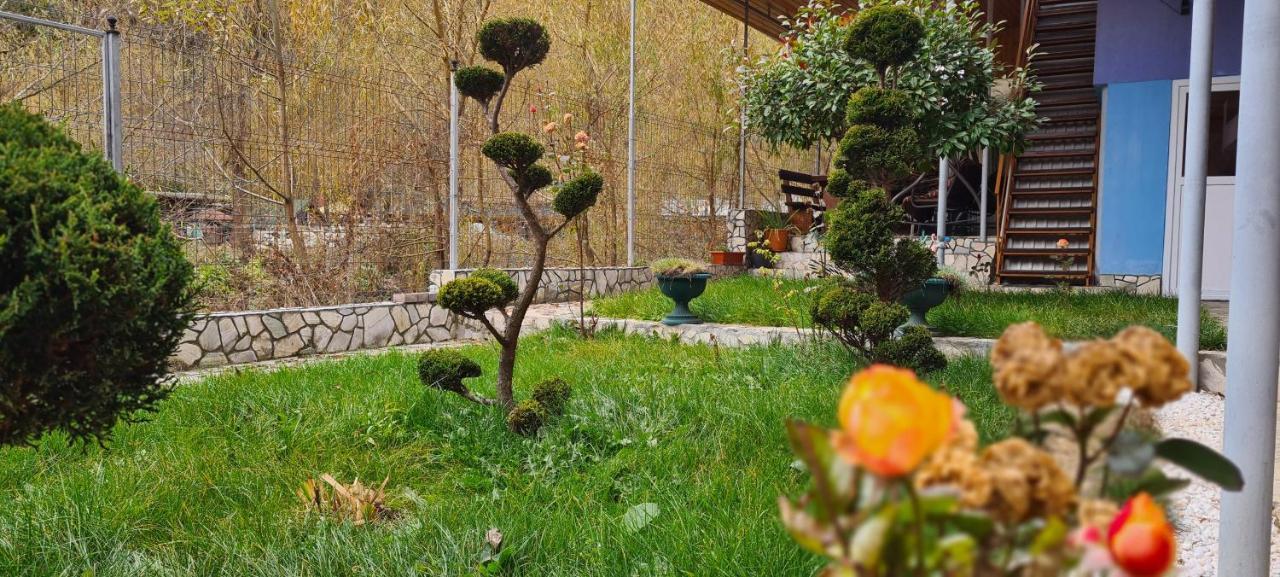 Pensiunea Aurora - Great Hostel Voineasa Dış mekan fotoğraf
