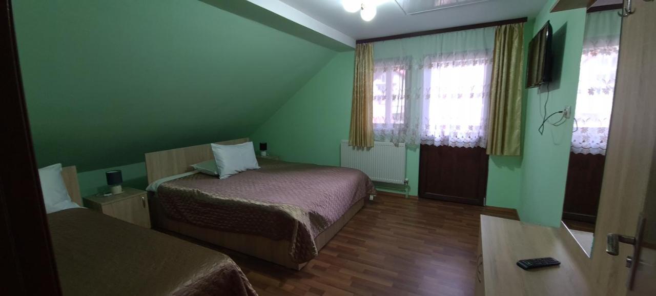 Pensiunea Aurora - Great Hostel Voineasa Dış mekan fotoğraf