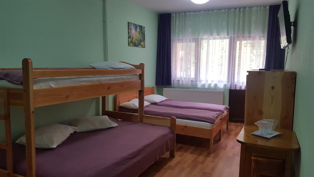 Pensiunea Aurora - Great Hostel Voineasa Dış mekan fotoğraf