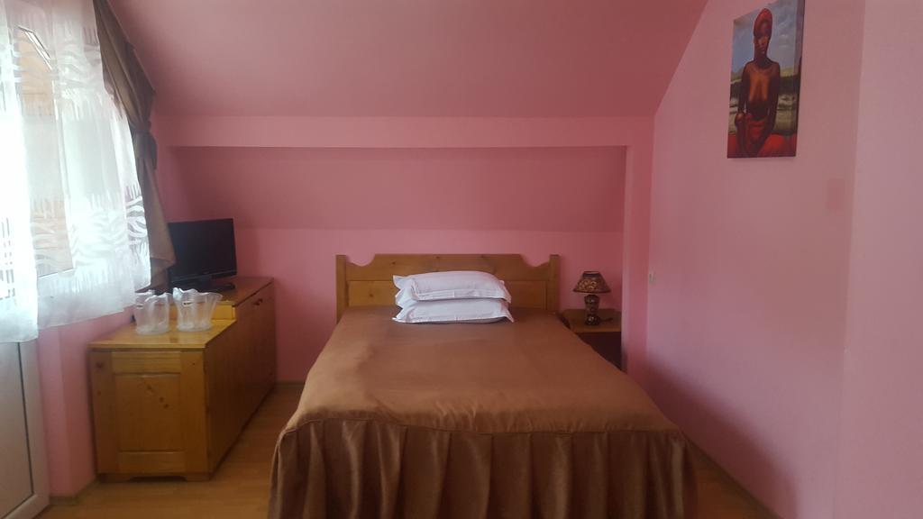 Pensiunea Aurora - Great Hostel Voineasa Dış mekan fotoğraf