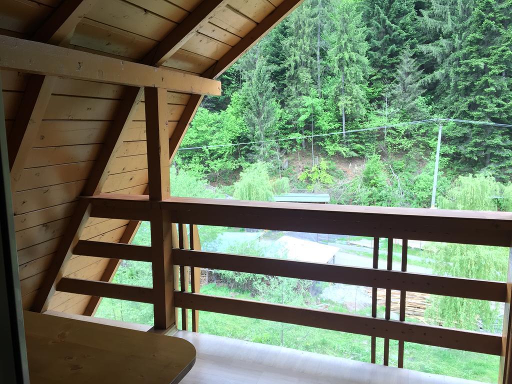 Pensiunea Aurora - Great Hostel Voineasa Dış mekan fotoğraf